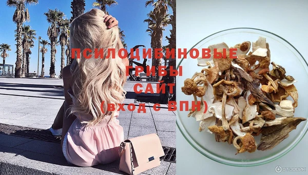 экстази Краснослободск